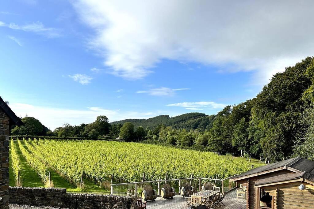 Vineyard Country Cottage Llanerch-Aeron Esterno foto