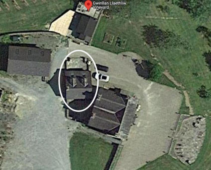 Vineyard Country Cottage Llanerch-Aeron Esterno foto