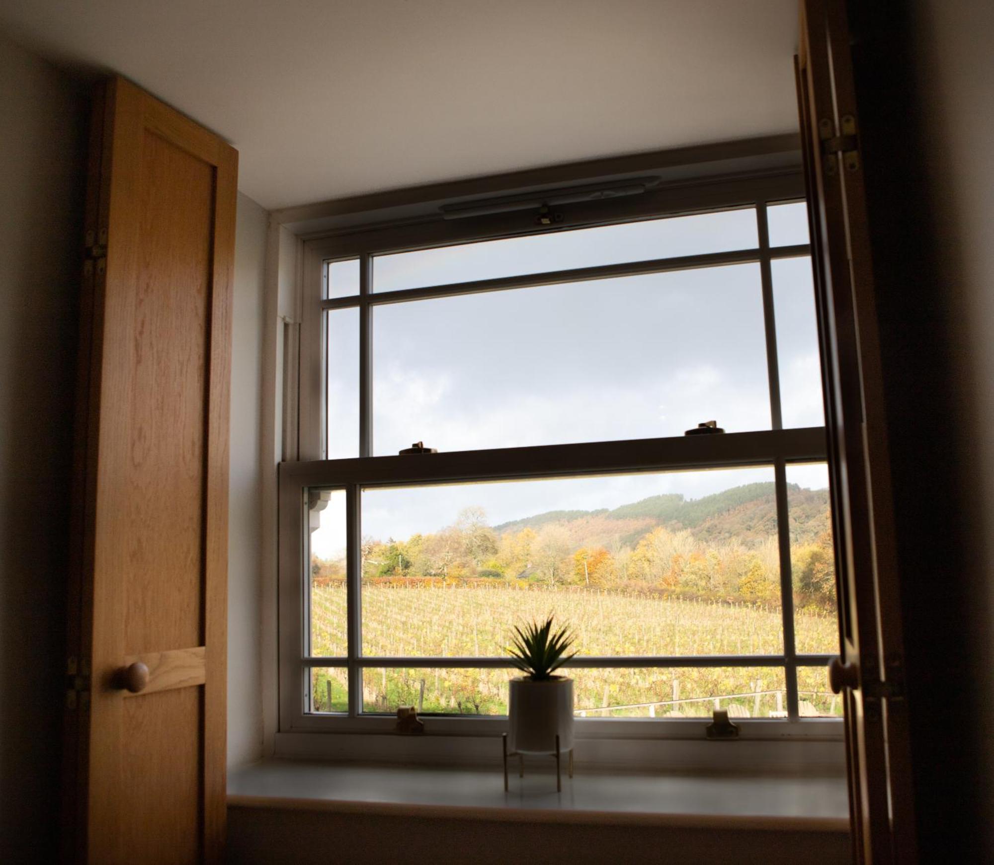 Vineyard Country Cottage Llanerch-Aeron Esterno foto